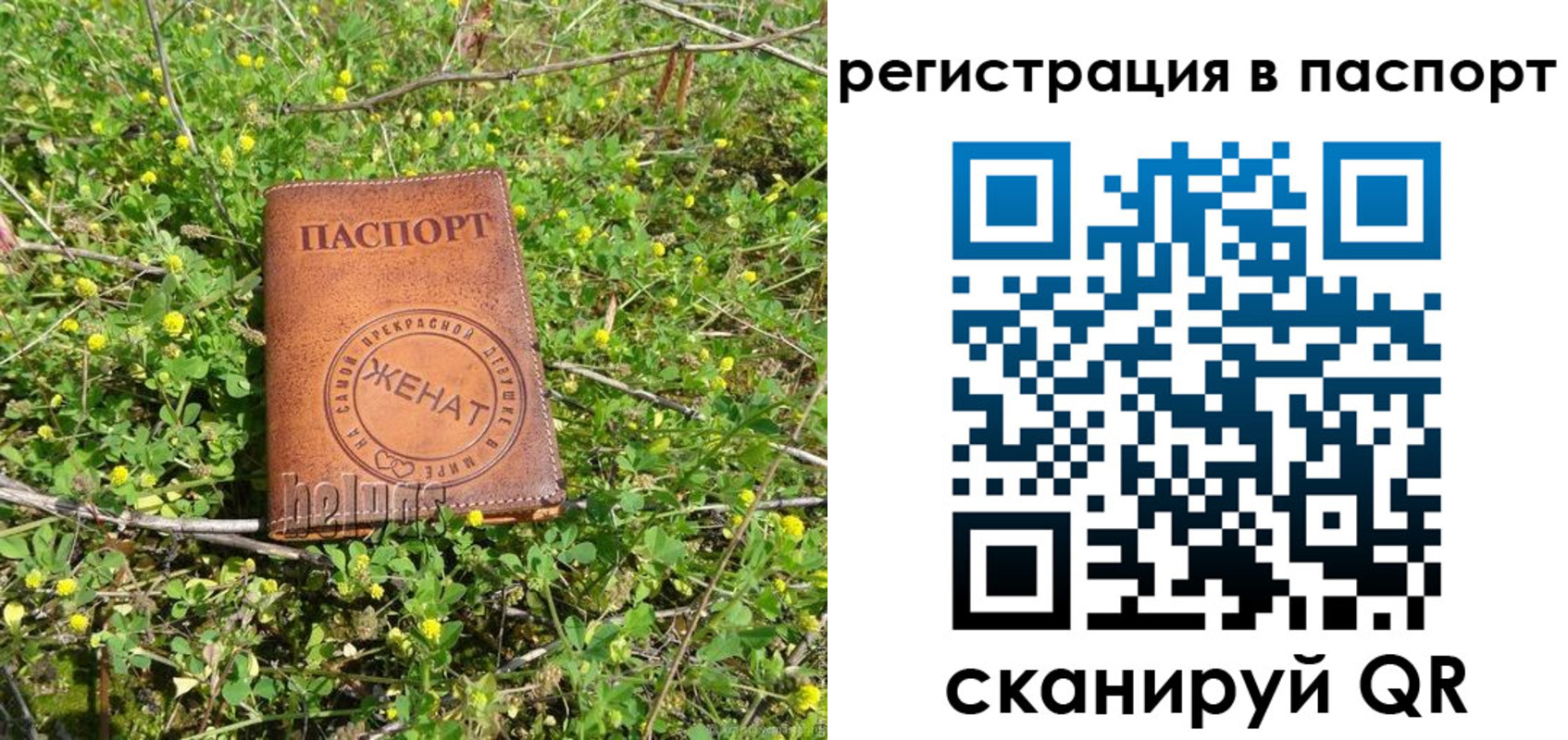 прописка законно в Ахтубинске